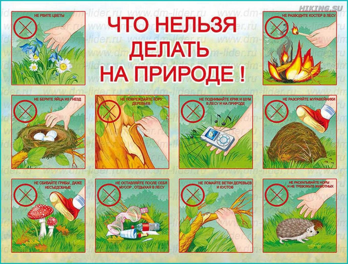 Изображения.