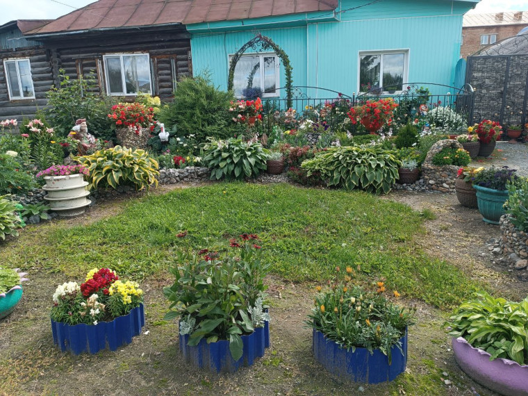 Администрация Тарского городского поселения подвела итоги смотр-конкурс по благоустройству "Территория добрых дел"среди частных домовладений многоквартирных домов,организаций и учреждений города.. Администрация Тарского городского поселения подвела итоги смотр-конкурс по благоустройству "Территория добрых дел"среди частных домовладений многоквартирных домов,организаций и учреждений города..